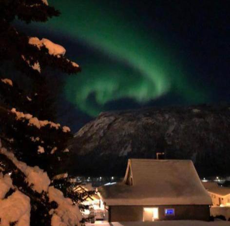 Tromso Arctic Villa With Free Parking 외부 사진