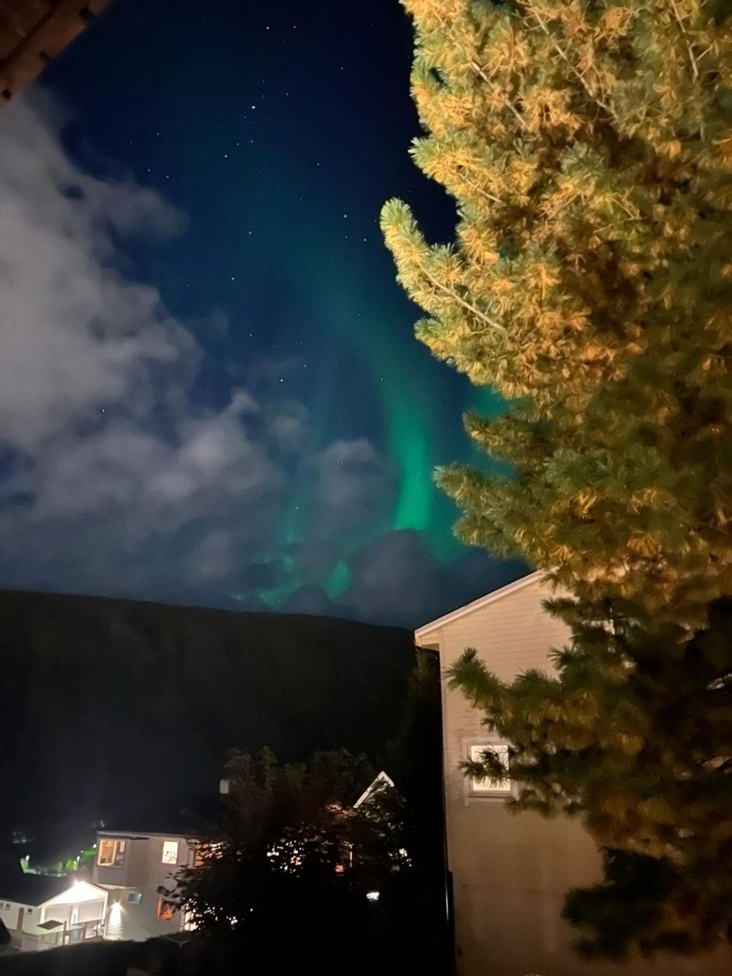 Tromso Arctic Villa With Free Parking 외부 사진